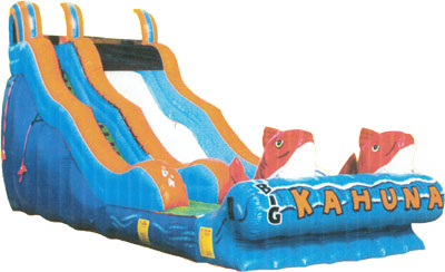 Big Kahuna Inflatable Water Slide Rental